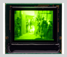  DSC0646 SVGA150 Monochrome Green XLT